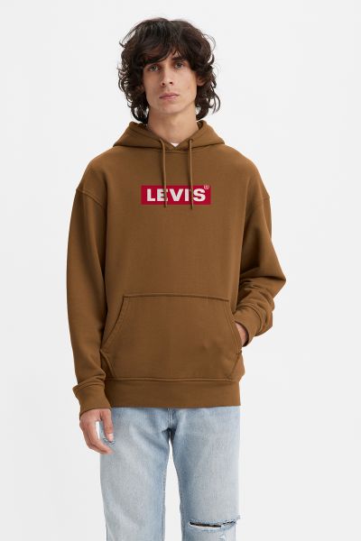 Levi's Men's Relaxed Fit Graphic Hoodie