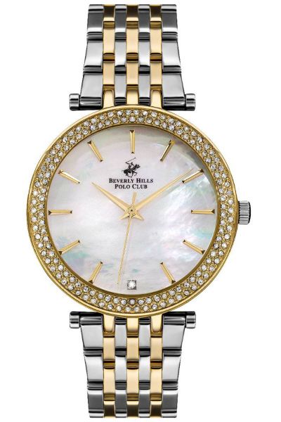 Polo Stainless Steel Watch For Ladies Bp3183C.220