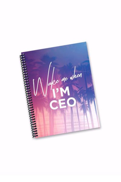 Wake Me Up When I Am The Ceo Diary