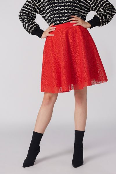 Lace Skater Skirt with Zip Closure