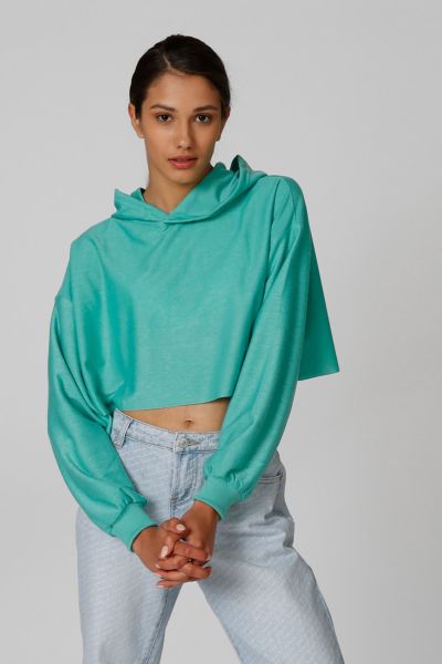 Plain Crop Sweatshirt with Long Sleeves and Hood