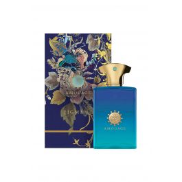 AMOUAGE Amouage Figment Man Edp 100Ml Men Perfumes