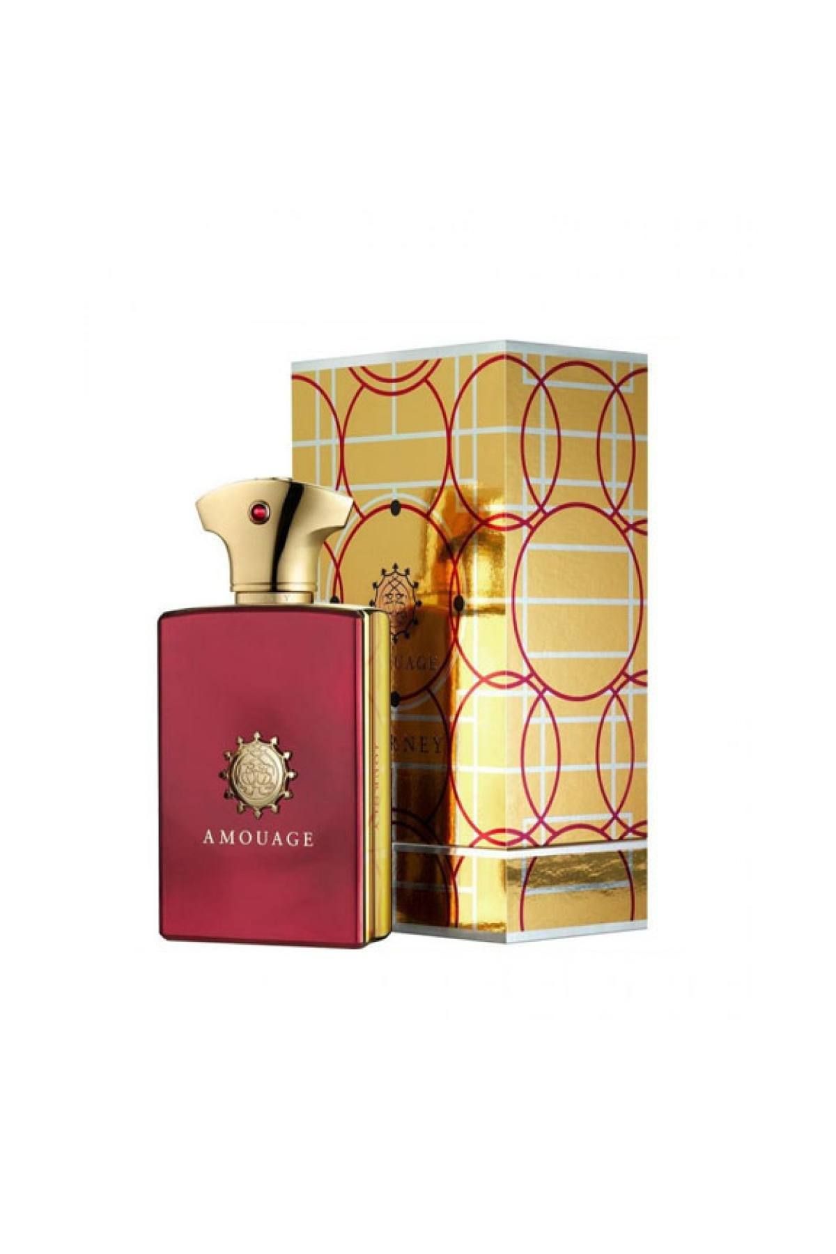 AMOUAGE Amouage Journey Man Edp 100Ml Men Perfumes